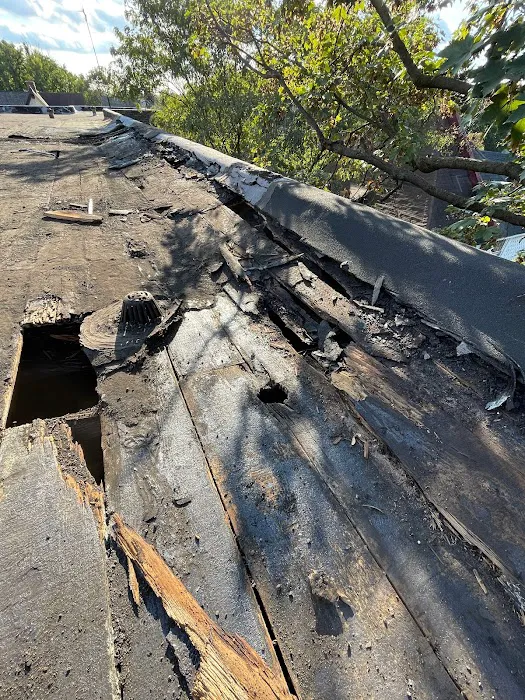 Up On The Roofs Picture 2