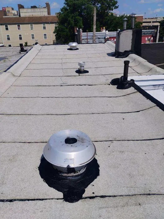 Up On The Roofs Picture 5