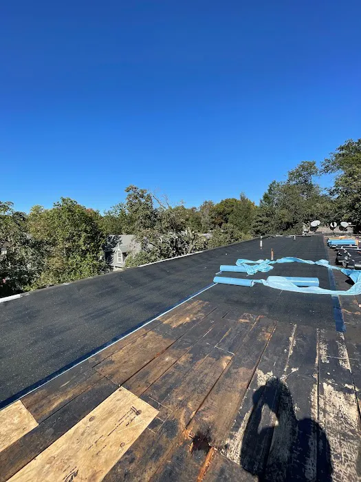 Up On The Roofs Picture 1