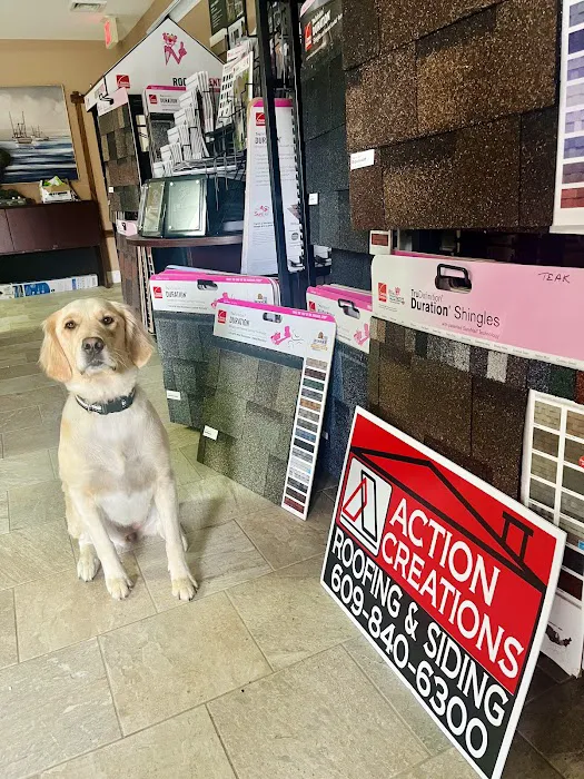 Action Creations Roofing & Siding Picture 1