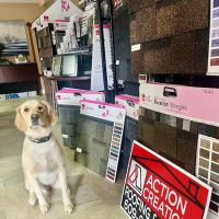 Action Creations Roofing & Siding ico