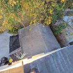 Leopard Roofing