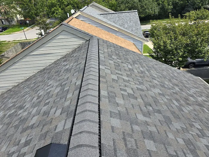 Leopard Roofing Picture 2