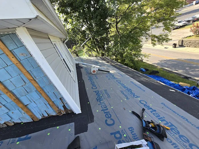 Leopard Roofing Picture 4