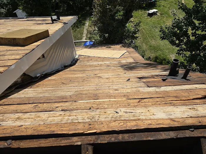 Leopard Roofing Picture 7