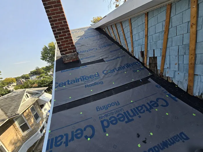 Leopard Roofing Picture 9