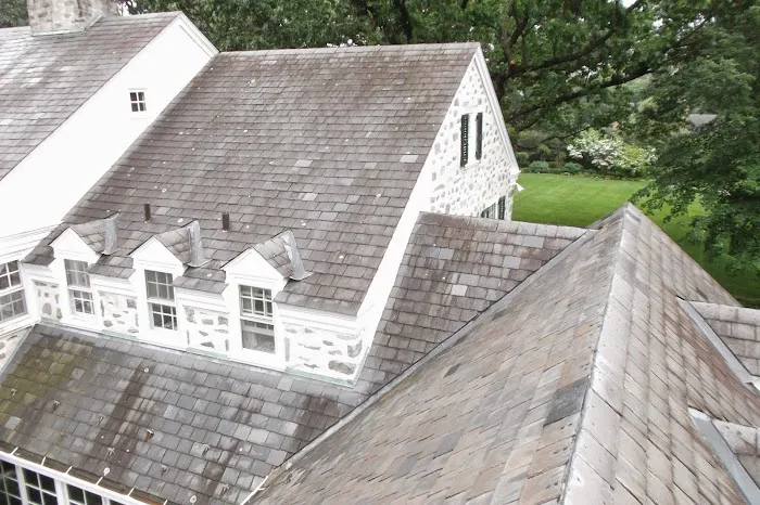 Mastroni Brothers Inc. Picture 6