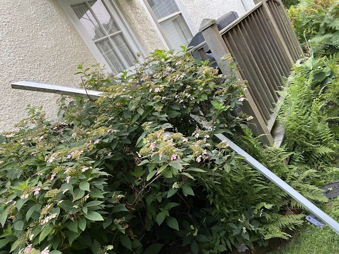 Glick's Exteriors Picture 3