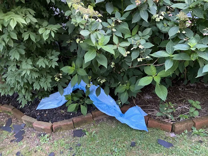 Glick's Exteriors Picture 5