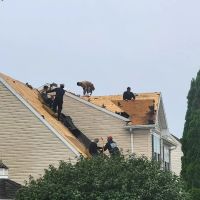 MLM Home Improvement ico