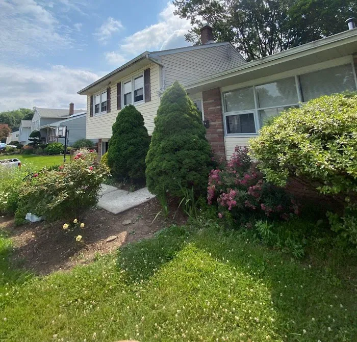 MLM Home Improvement Picture 3