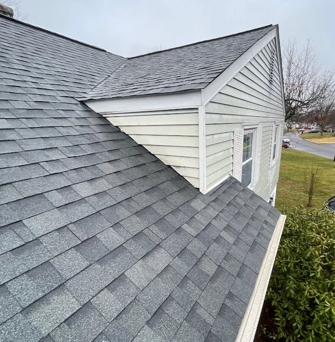 MLM Home Improvement Picture 7