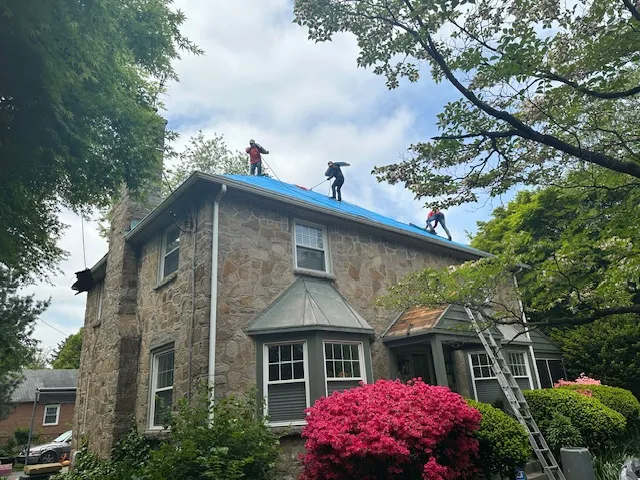 Realistic Exterior Picture 8