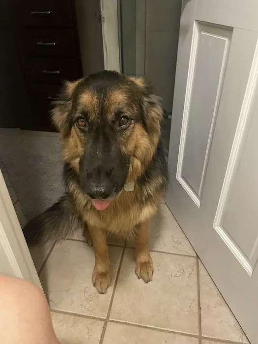 Independent Construction Picture 3