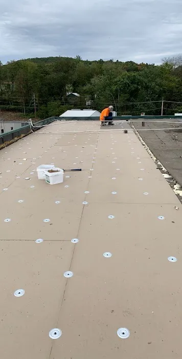 New Age Roofing Picture 1