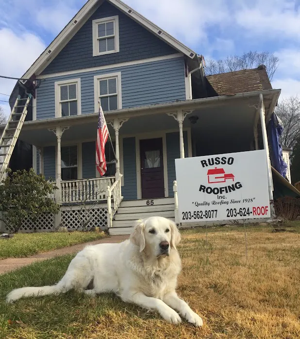 Russo Roofing Inc Picture 6