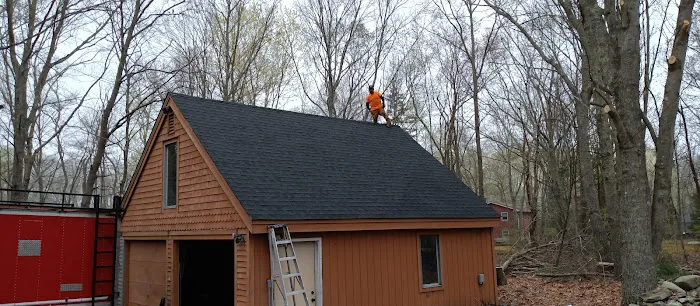 Dfd Roofing Llc Picture 3