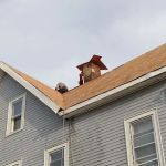 Dfd Roofing Llc