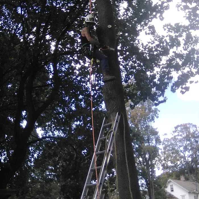 Vaughan Roofing Picture 3