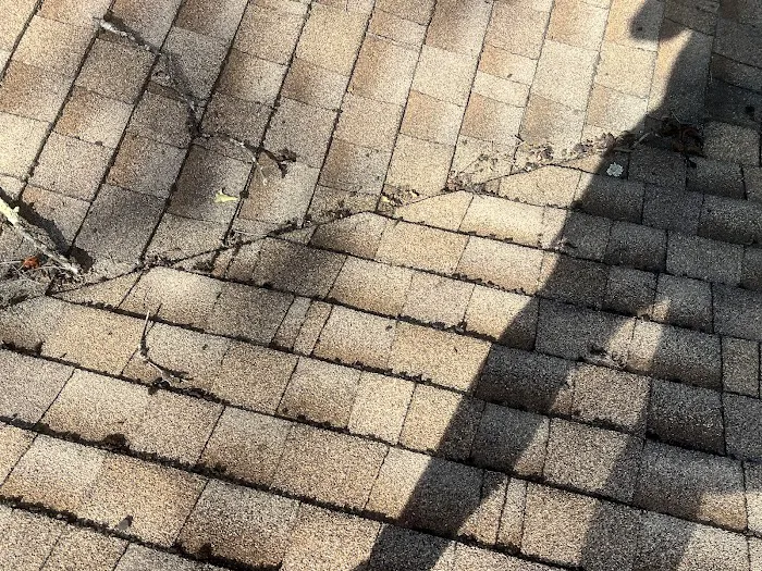 LFM Roofing LLC Picture 10