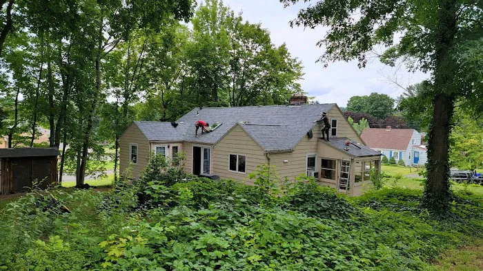 Modern Roofing Picture 3