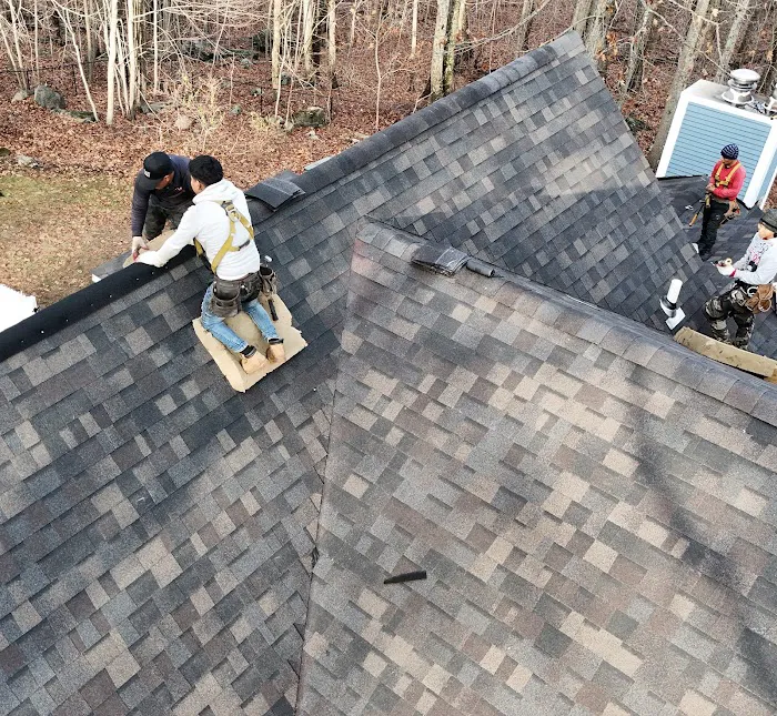 Modern Roofing Picture 8