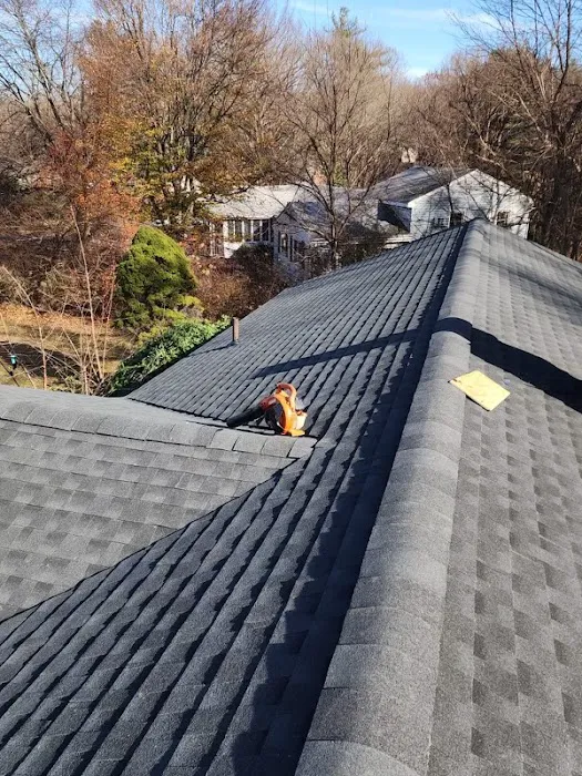 Total Roofing Picture 6