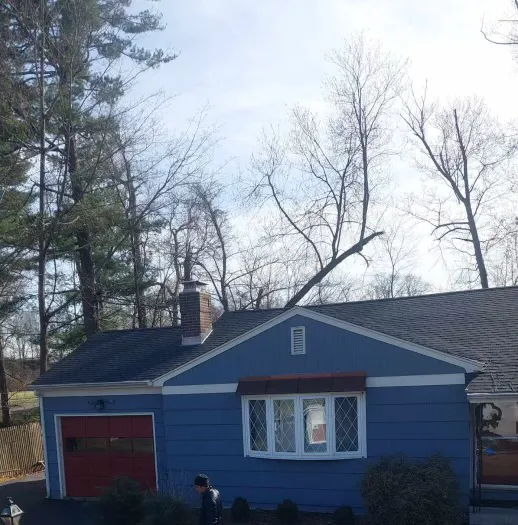 onyx home improvement Picture 2