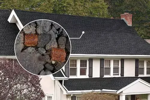 ROOF PROTECT LLC Picture 2