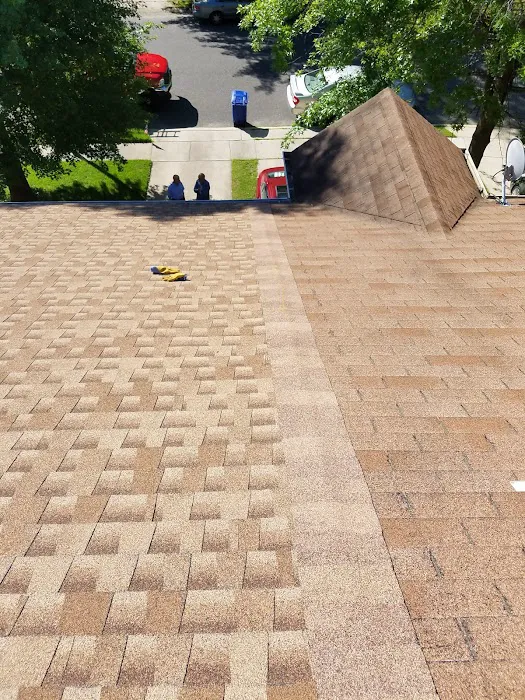 Fishtown Roofing by Richard Hammond Picture 1