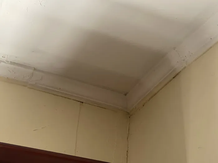 BRG ROOFING Picture 1