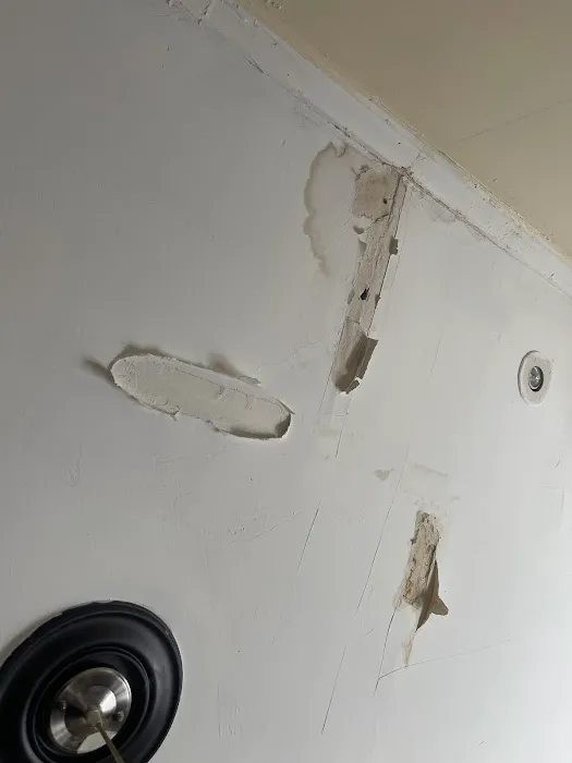 BRG ROOFING Picture 3