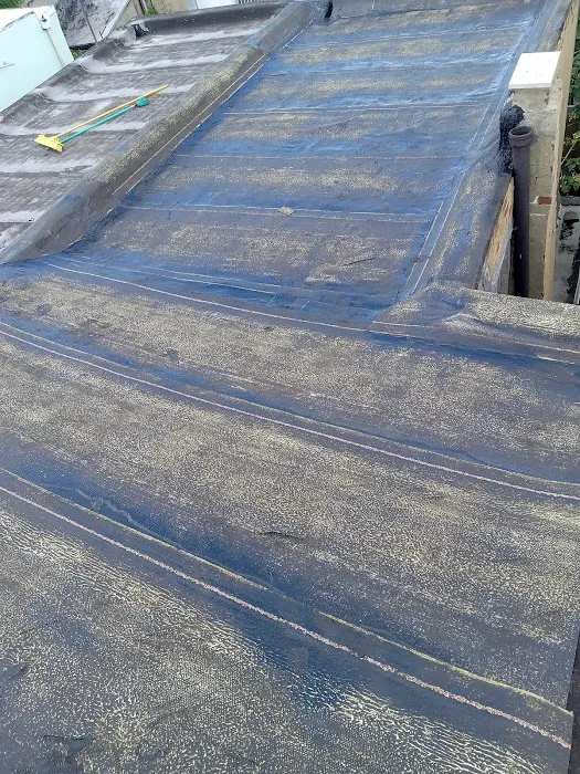 Forline Roofing Picture 1