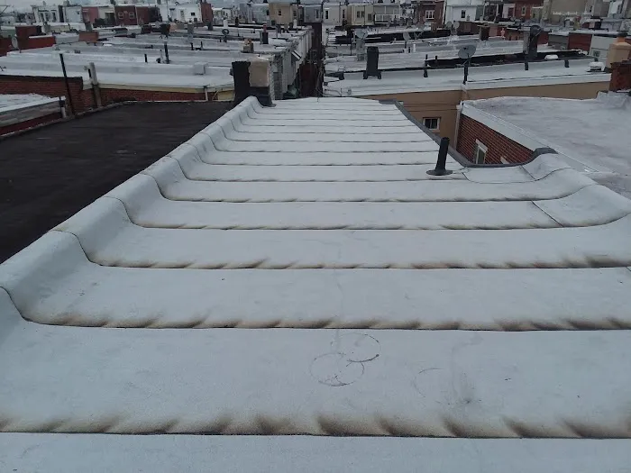 Fortuna Roofing Picture 1