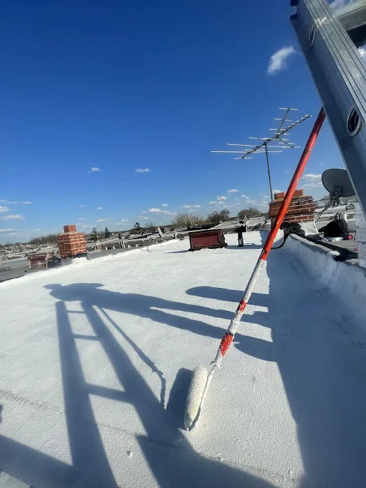 All Budget Roofing Picture 9