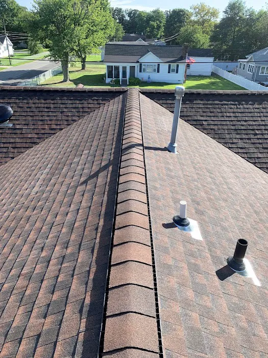 Seapoint Roofing and Siding Picture 5