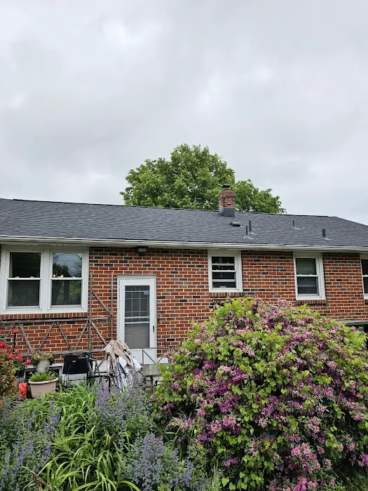 John E Steele Jr Inc Picture 2