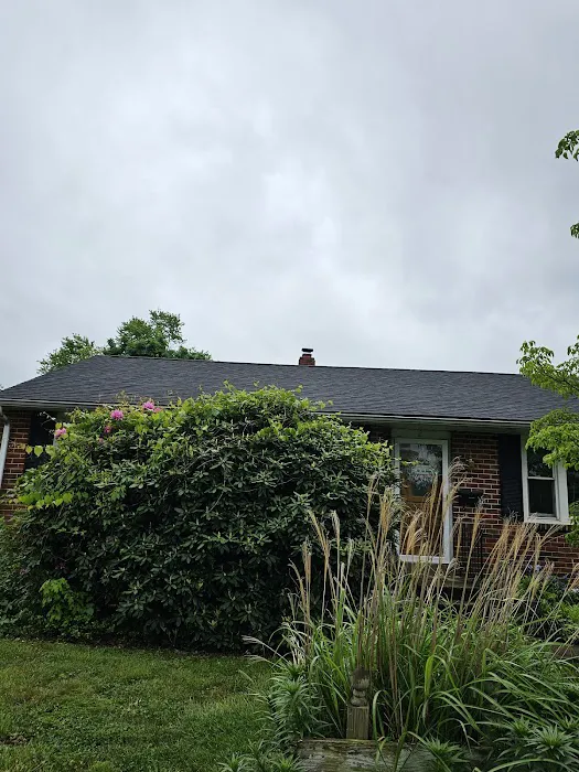 John E Steele Jr Inc Picture 1