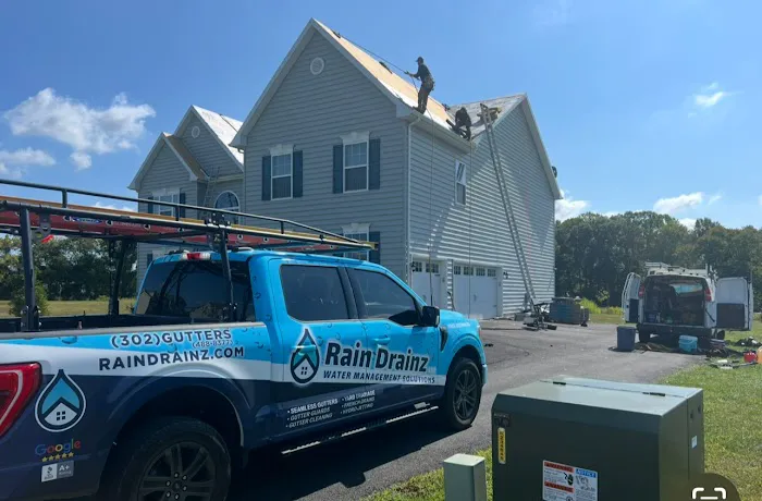 Rain Drainz Picture 2