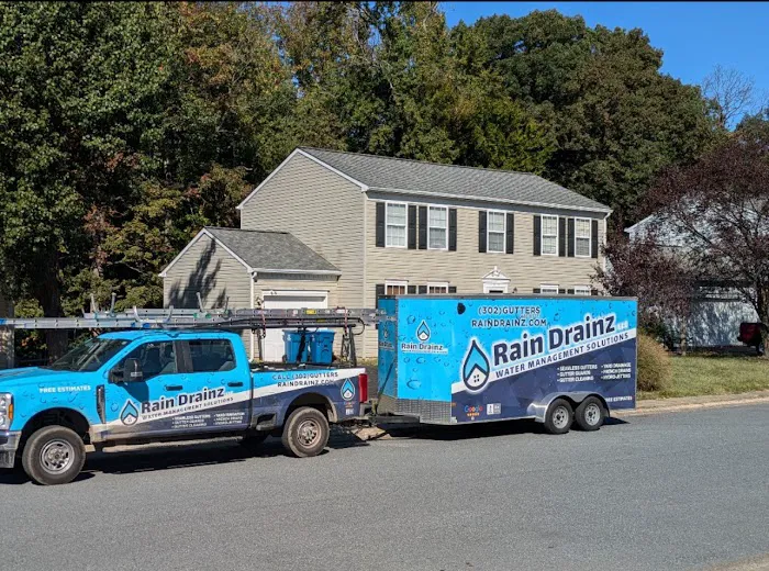 Rain Drainz Picture 3