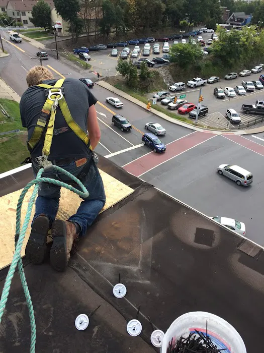 Blue Collar Roofing Picture 4
