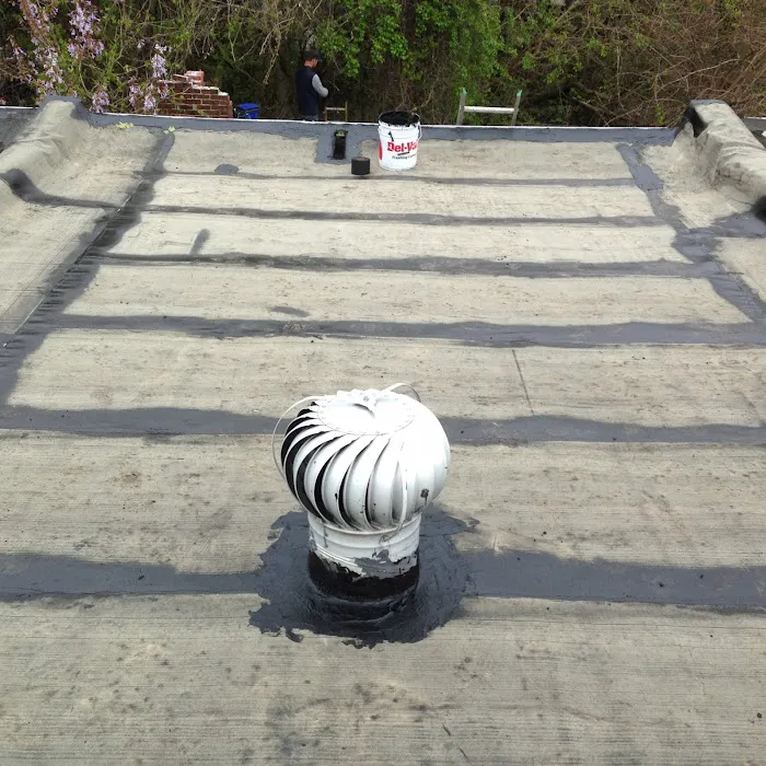 Blue Collar Roofing Picture 1