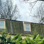 Cedar Roof Specialist