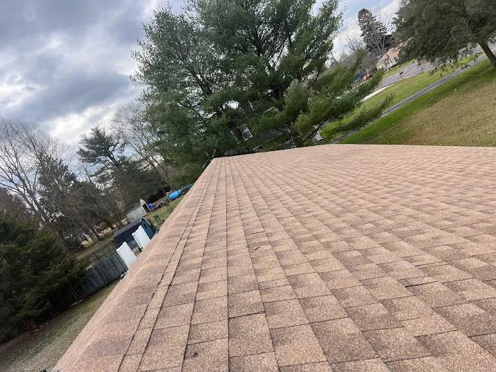 Roof replacement and repair S&P Roofing and Construction pros Picture 4