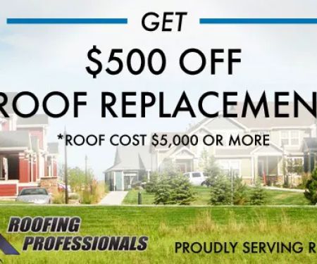 Roofing Professionals