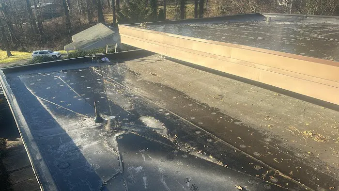 Detailz Carpentry & Roofing LLC Picture 8