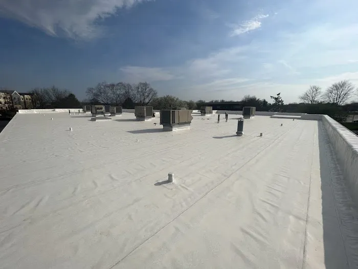 Flat Roof Solutions Picture 1