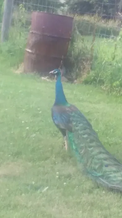 Fisher's Roofing & Siding Picture 1