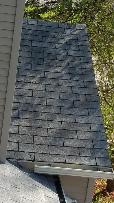Superior Roof Cleaning Picture 2