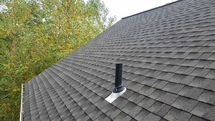 Superior Roof Cleaning Picture 6